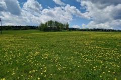 06-20210521_114702