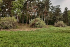 24-IMG-20210524-WA0005