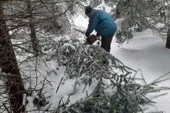 IMG-20200112-WA0116
