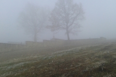 20151106_084418
