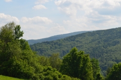 0-091
