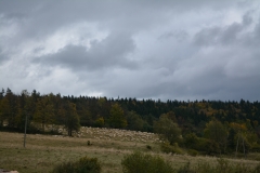 0-020
